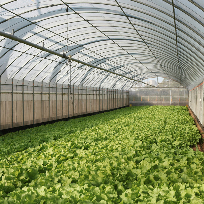 Built for Busy Spring Days